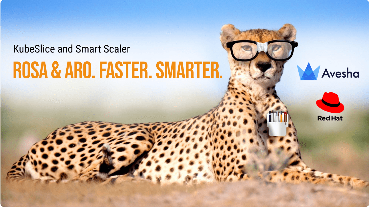 ROSA_ARO_Slides v7f_SmarterFaster.pptx 1.png